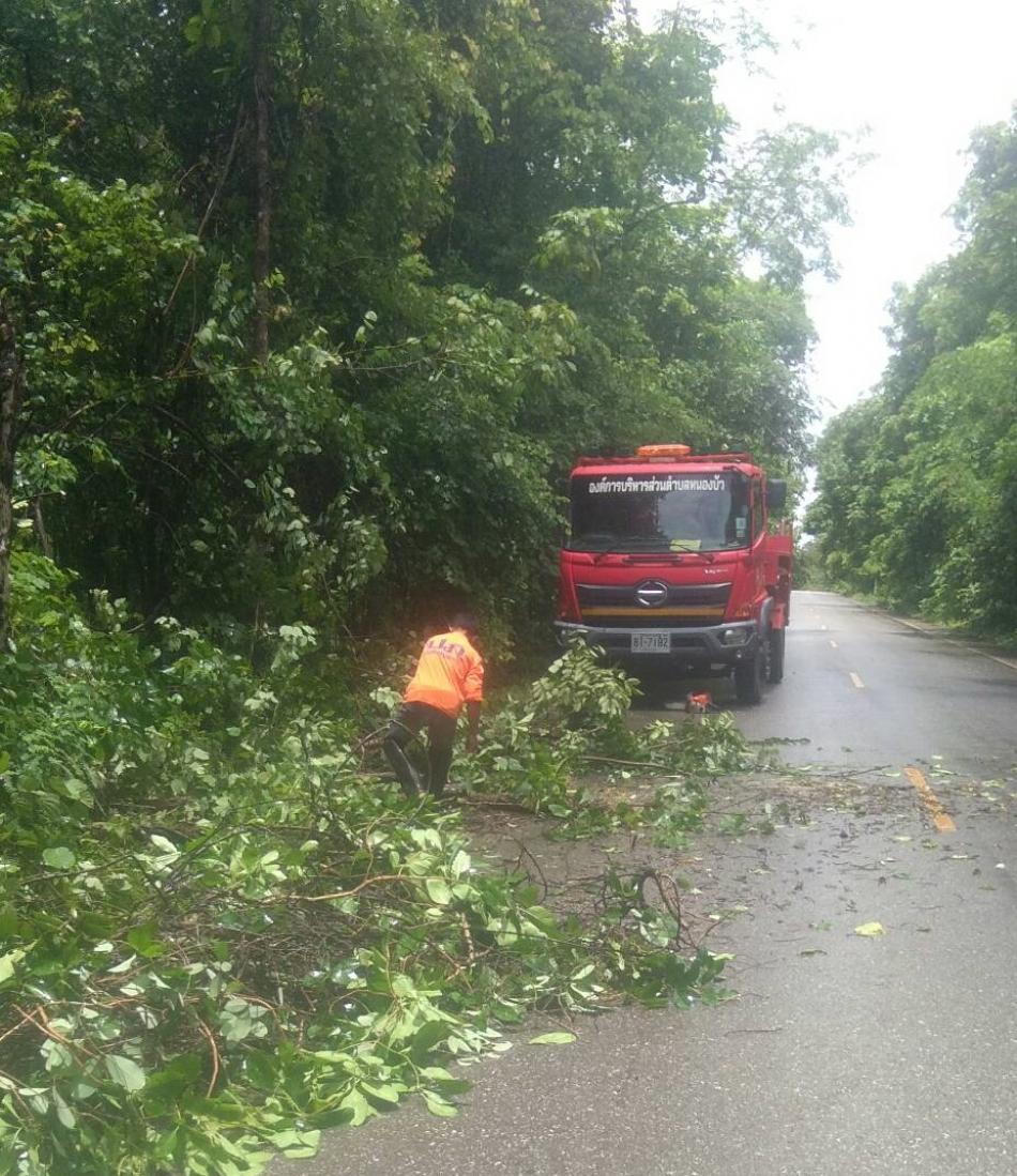 งานป้องกันและบรรเทาสาธารณภัย โดยบัญชาของ นายบุญธรรม  เจริญรส นายกองค์การบริหารส่วนตำบลหนองบัว ออกให้บริการตัดต้นไม้ และกิ่งไม้บริเวณข้างทางสาธารณะเพื่อป้องกันการเกิดอุบัติเหตุฯ