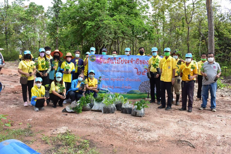 เมื่อวันที่ ๑๗ พฤษภาคม ๒๕๖๕ องค์การบริหารส่วนตำบลหนองบัว จัดกิจกรรมปลูกป่าเนื่องในวันต้นไม้แห่งชาติ ณ บริเวณป่าชุมชนบ้านหนองบัวบาน หมู่ที่ ๓